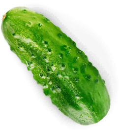 Гастрономъ