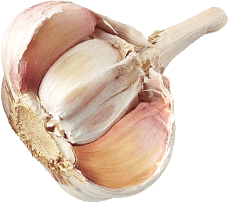 Гастрономъ