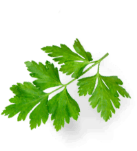 Родная деревенька