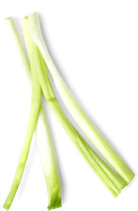 Гастрономъ