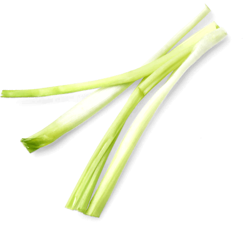 Гастрономъ