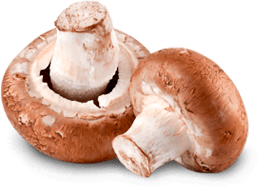 Авеню вкуса