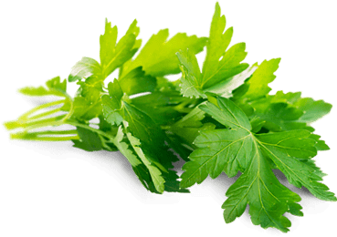 Родная деревенька