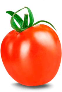 Гастрономъ