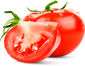 Гастрономъ