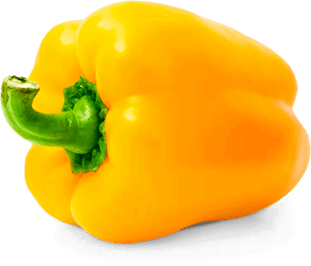 Гастрономъ