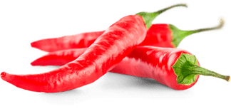 Гастрономъ